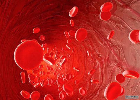 血细胞分析仪针对血常规检查的作用-行业新闻-国康实业