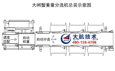 广东大航技术DHJS大闸蟹重量分选机工作流程原理