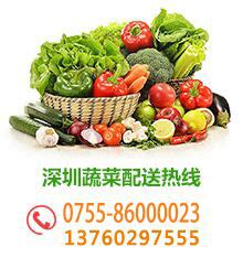 深圳蔬菜配送_深圳送菜公司 - 佳惠鲜农副产品配送有限公司