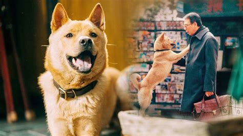 #电影截图《忠犬八公》 - 堆糖，美图壁纸兴趣社区
