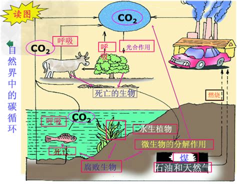 我国科学家在二氧化碳加氢制甲醇有了新机制-制氢--国际氢能网