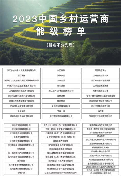 赛道新、年纪轻！全国最早的乡村运营商能级榜单发布-中国网