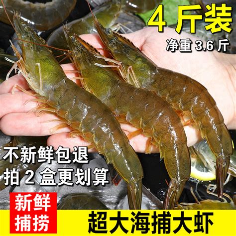 青岛早市“头茬”鲜蛎虾上市 25一斤 本地产海虹“颜值低”1元1斤