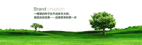 品牌形象设计好的企业策划推广_杭州品牌创意设计_杭州原谷网络科技有限公司