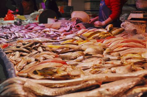 卖鱼的商贩高清图片下载-正版图片502150448-摄图网