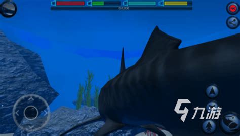 人气较高的鲨鱼游戏前十2022 必玩鲨鱼游戏下载推荐_九游手机游戏