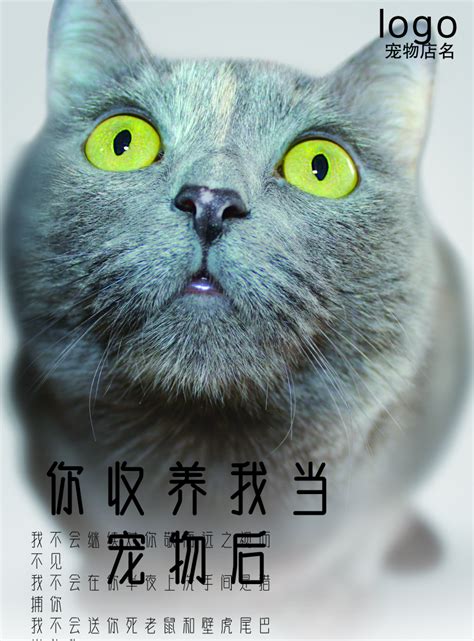 猫咪领养网站_白菜君_-站酷ZCOOL