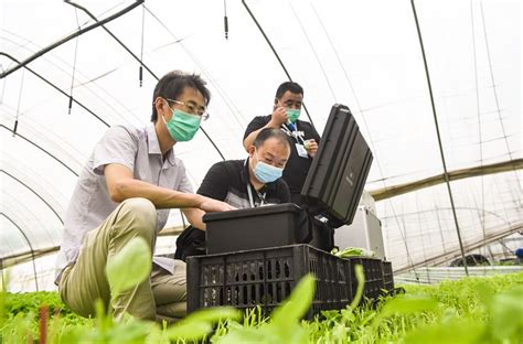 “科技果”引入农村 带动农户富起来！-千龙网·中国首都网