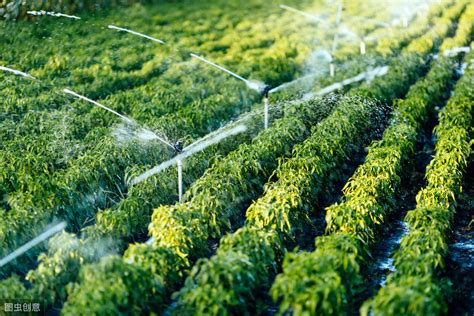 节水智能灌溉自动化控制的经济效益分析