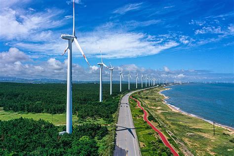 向海图强！到2025年底威海蓝碳经济体系将基本建立|威海市|威海_新浪新闻