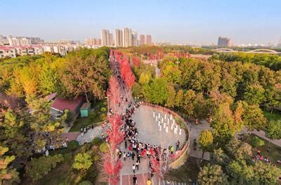 漯河网红打卡圣地红枫广场将举行漯河流行音乐节_音乐盛典