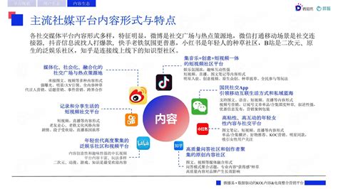 2019年中国自媒体行业分析报告-市场行情监测与发展前景评估 - 中国报告网
