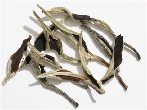 青茶的功效与作用及禁忌有哪些-润元昌普洱茶网