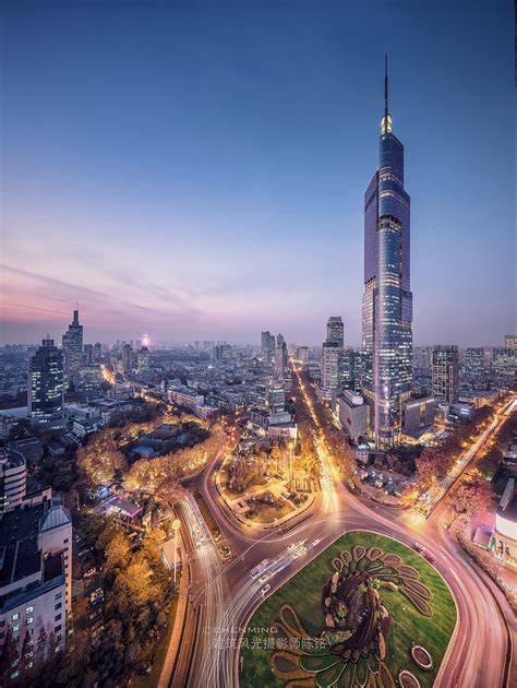 紫南京图片