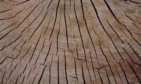 民间木材防裂剂方法,木材防裂剂,如何预防木头开裂