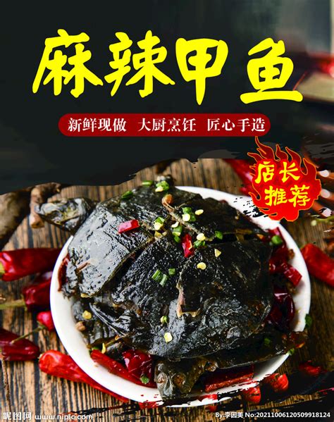 荷香蒸甲鱼饭店灯箱菜牌宣传海报图片下载_红动中国