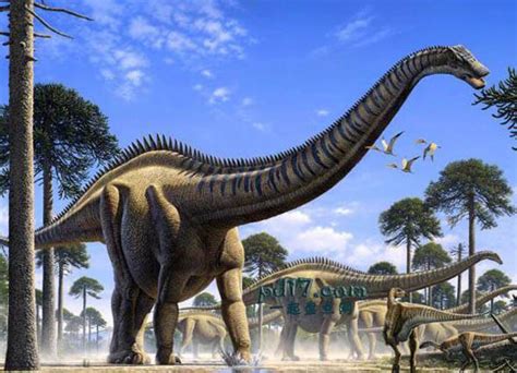 体型最大的十种恐龙：Top10 - 一起盘点网