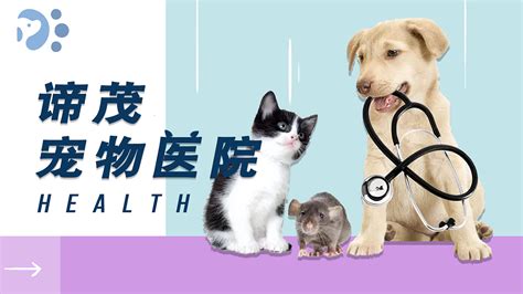 宠物医院设计图__展板模板_广告设计_设计图库_昵图网nipic.com