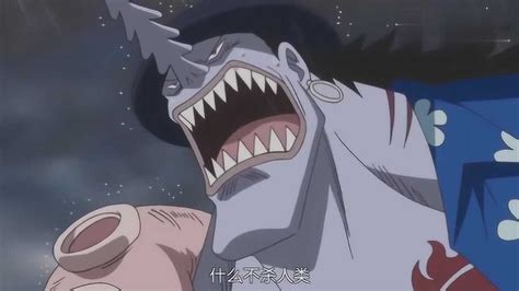 海贼王佐龙图片