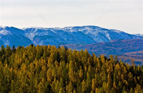 俄罗斯西伯利亚阿尔泰山高清图片下载-正版图片503346084-摄图网