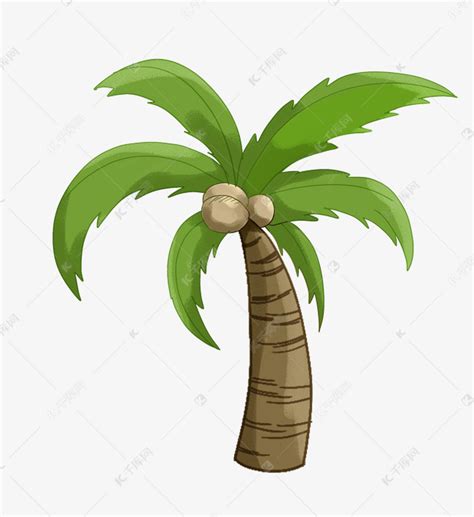海南椰子树椰子插画素材图片免费下载-千库网