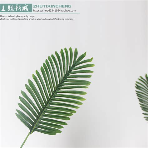 ins叶子风图片