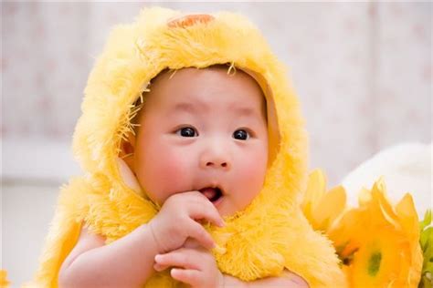 端午节出生的猪宝宝取名规则，名字推荐大全_华易网