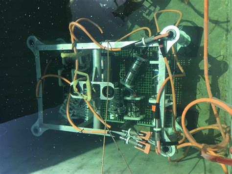 微软海底服务器影像曝光：鱼类非常喜欢 -优装机下载站