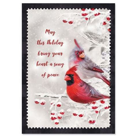 Current Winter Cardinal Christmas Greeting Cards Set - Set of 18 Large ...