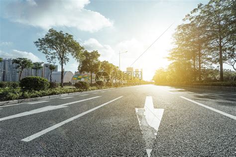 阳光下空荡的柏油路树木和箭矢高清图片下载-正版图片503437657-摄图网