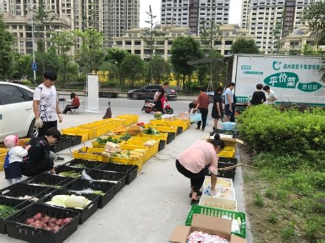 南湖社区：温州菜篮子惠民工程“平价菜”进社区