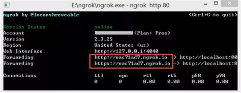 Ngrok内网穿透实现端口的映射 在线访问项目教程_一看即会_ng url映射本地端口-CSDN博客