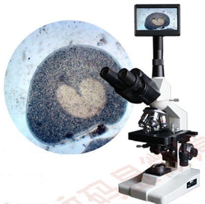 咖啡象水产养殖专业水产检测数码显微镜