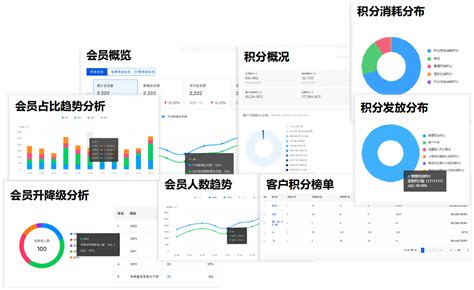 2019会员营销系统五强排行榜隆重揭晓_互联网_艾瑞网