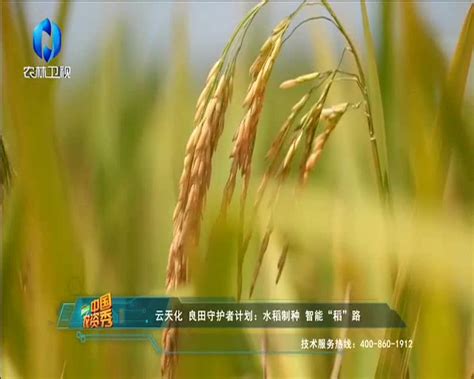 中国农资秀 (2023-08-02) - 陕西网络广播电视台