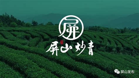 李汉勤：延伸茶叶全产业链带动一二三产融合发展--松阳新闻网