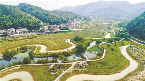 岳塘区：乡村振兴的“岳塘路径” - 湖南省乡村振兴局