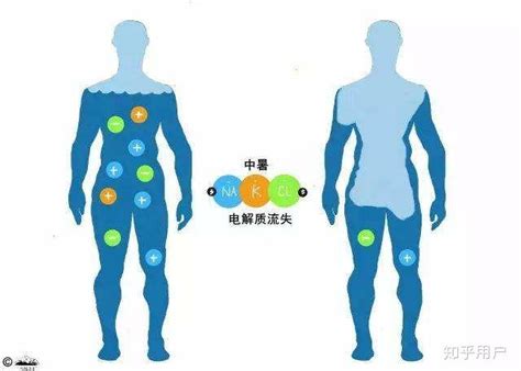 [题目]乙醇(C2H5OH)燃料电池是一种新型电池.其中采用质子(H+)溶剂.在200℃左右时供电.电池总反应为C2H5OH+3O2=2CO2 ...