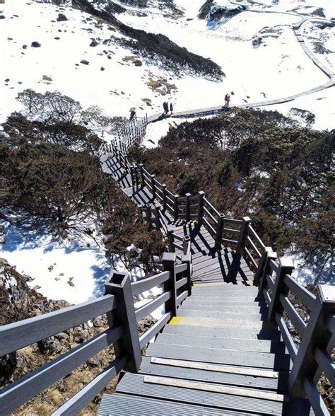 2019轿子雪山-旅游攻略-门票-地址-问答-游记点评，昆明旅游旅游景点推荐-去哪儿攻略