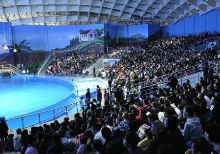 2023武汉海昌极地海洋公园门票价格及包含项目（附游玩攻略）-墙根网