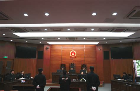 沙区法院来我院审理刑事案件-重庆大学法学院