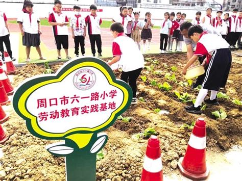 未来科技城海曙小学校园农场-杭州立体农业开发有限公司