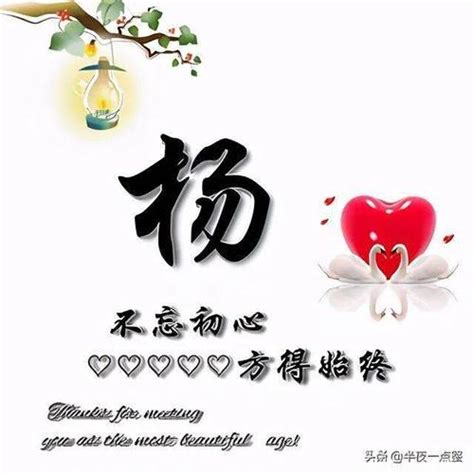 我姓杨头像图片