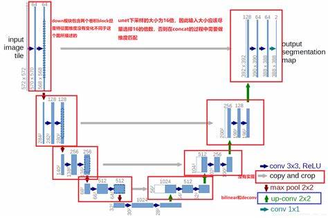 神经网络结构论文图怎么作