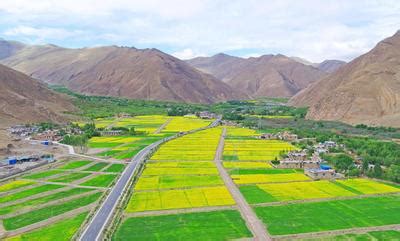 西藏山南：“杆线下地”建设美丽乡村-人民图片网