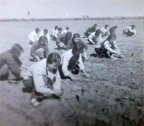 老照片：70年代农村生产队 - 派谷老照片修复翻新上色