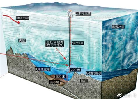 南极900米厚冰层下新发现奇特生物，生存方式未知，其寿命极长|冰层|南极洲|生物_新浪新闻