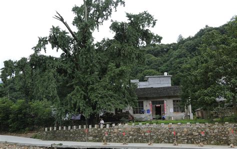 信阳新县成功入选2022年传统村落集中连片保护利用示范县-国际在线