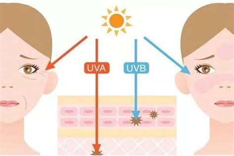 UVA和UVB的区别 及对皮肤的伤害分别是什么？