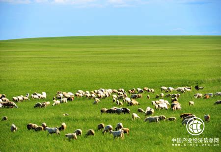 蒙古高原草地利用特征及其国别差异